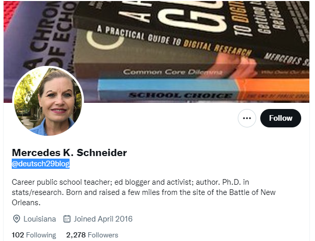 Mercedes Schneider Twitter Profile Screenshot