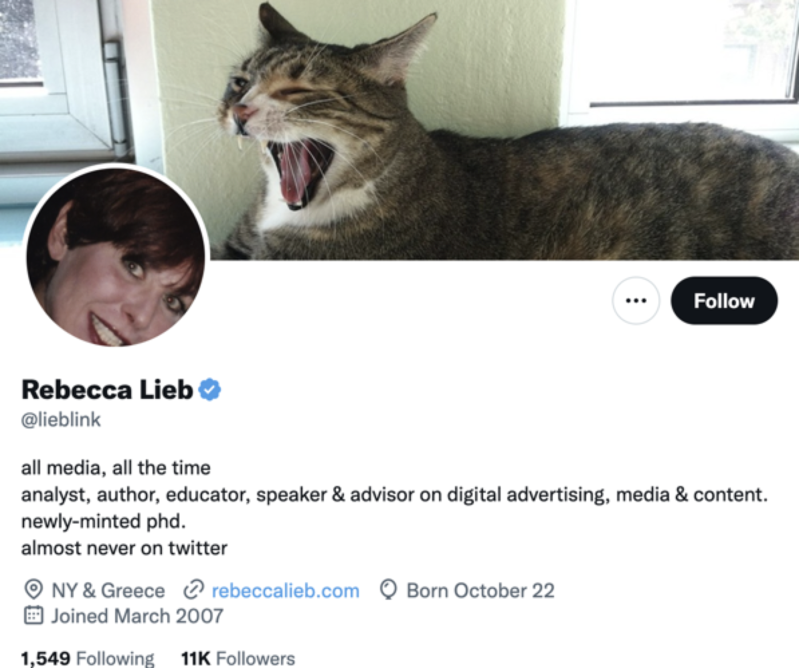 rebecca lieb twitter profile screenshot
