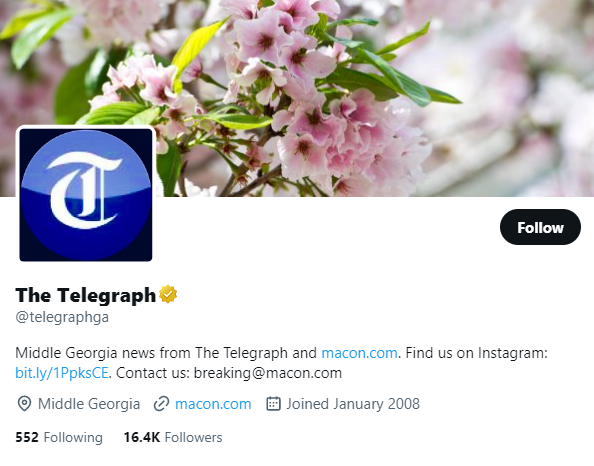 The Telegraph Twitter Profile Screenshot