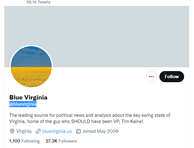 blue virginia twitter profile screenshot