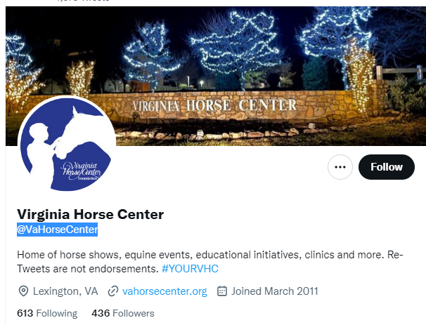 virginia horse twitter profile screenshot