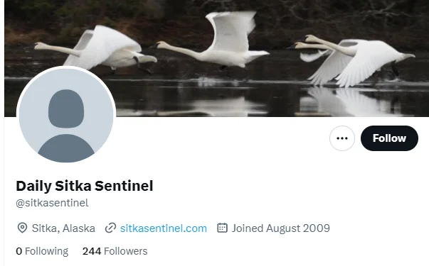 Daily Sitka Sentinel twitter profile screenshot