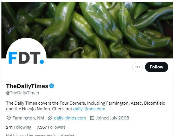 The Daily Times twitter profile screenshot